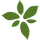 Advanced Flower Capital Inc.