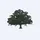 Live Oak Acquisition Corp. V Class A Ordinary Shares