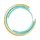 Lyell Immunopharma, Inc.
