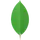 MongoDB, Inc.