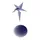Millicom International Cellular S.A.
