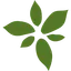 Advanced Flower Capital Inc.