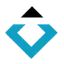 Black Diamond Therapeutics, Inc.