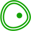 Biomea Fusion, Inc.