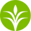 CF Industries Holdings, Inc.