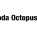 Coda Octopus Group, Inc.