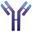 Immunovant, Inc.