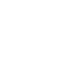 Lucid Group, Inc.