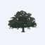 Live Oak Acquisition Corp. V Class A Ordinary Shares