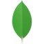 MongoDB, Inc.