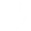 Ferrari N.V.