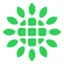 Shoals Technologies Group, Inc.