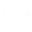 Visa Inc.